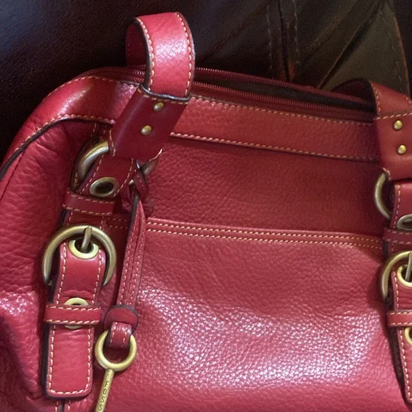 Fossil pocketbook - Picture 8 of 8